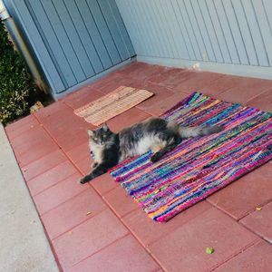 Meet your Posher, Jodee